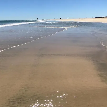 Coco コスタ・カルマ