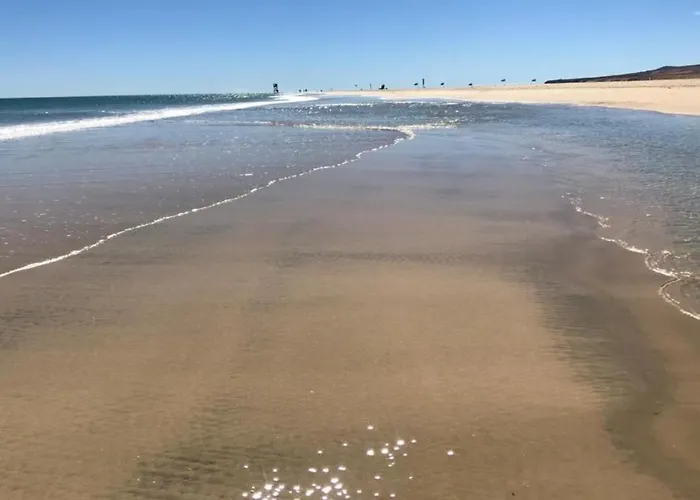 Coco كوستا كالما